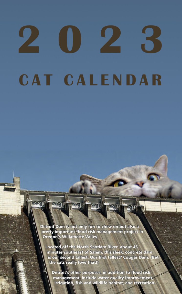 SolarInMASS's tweet photo. Here’s a calendar of giant cats Infrastructure by the USArmy Corp of Engineers

https://t.co/Rk3cIU8z4u https://t.co/ktCpP0WoHZ