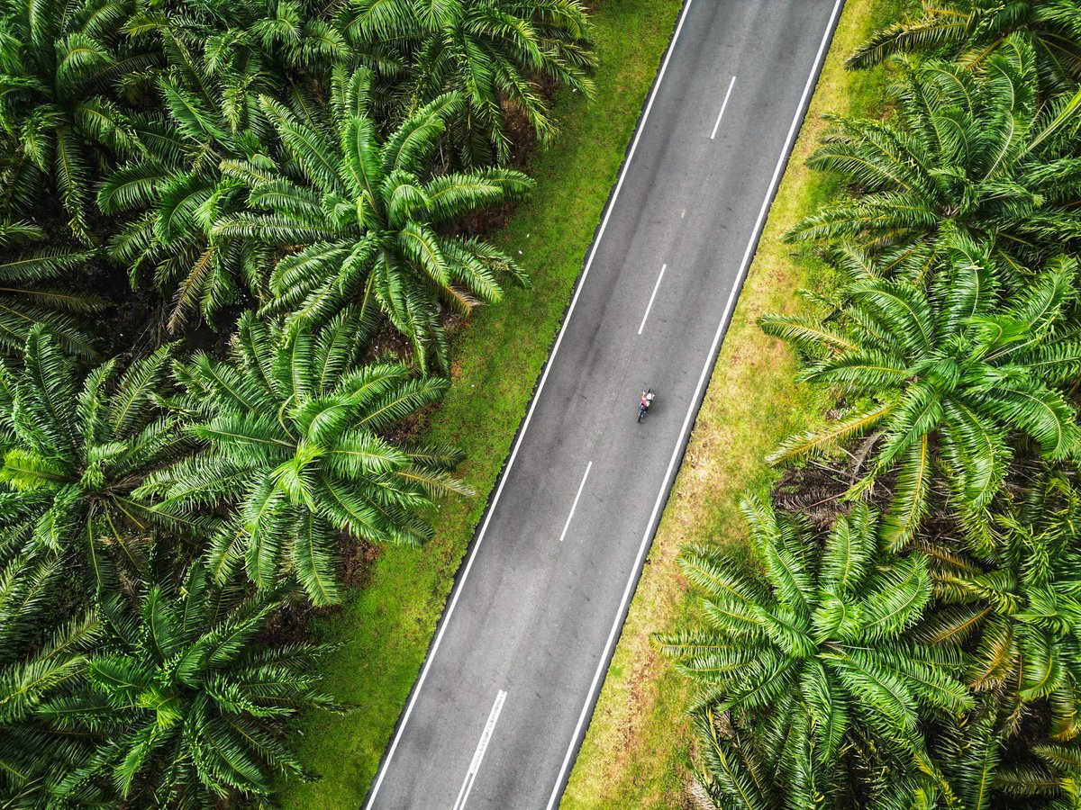 IRONMANtri's tweet photo. A tropical feast for the eye, the perfect getaway in Asia 🌴🏖️ IRONMAN 70.3 Desaru Coast returns for its second edition at the beach town of Desaru, featuring a fun filled weekend for you and family 🙌🏼
⁣
📍 Desaru Coast, Malaysia 
🗓️ May 14, 2023

#IM703DesaruCoast | #IRONMANtri https://t.co/IasIDbXRqX