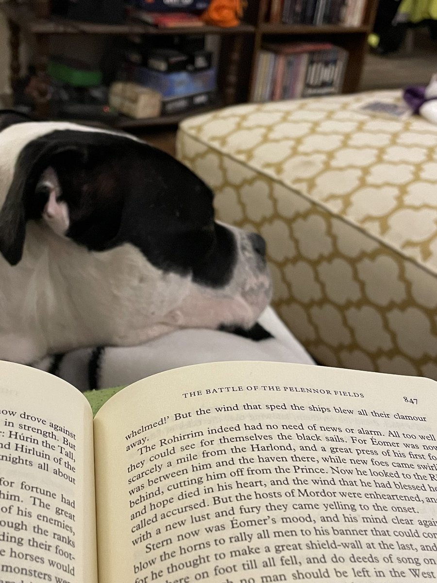 Reading with my puppy. #pitbullmix #rescuedismyfavoritebreed #librariansoftwitter #LordOfTheRings