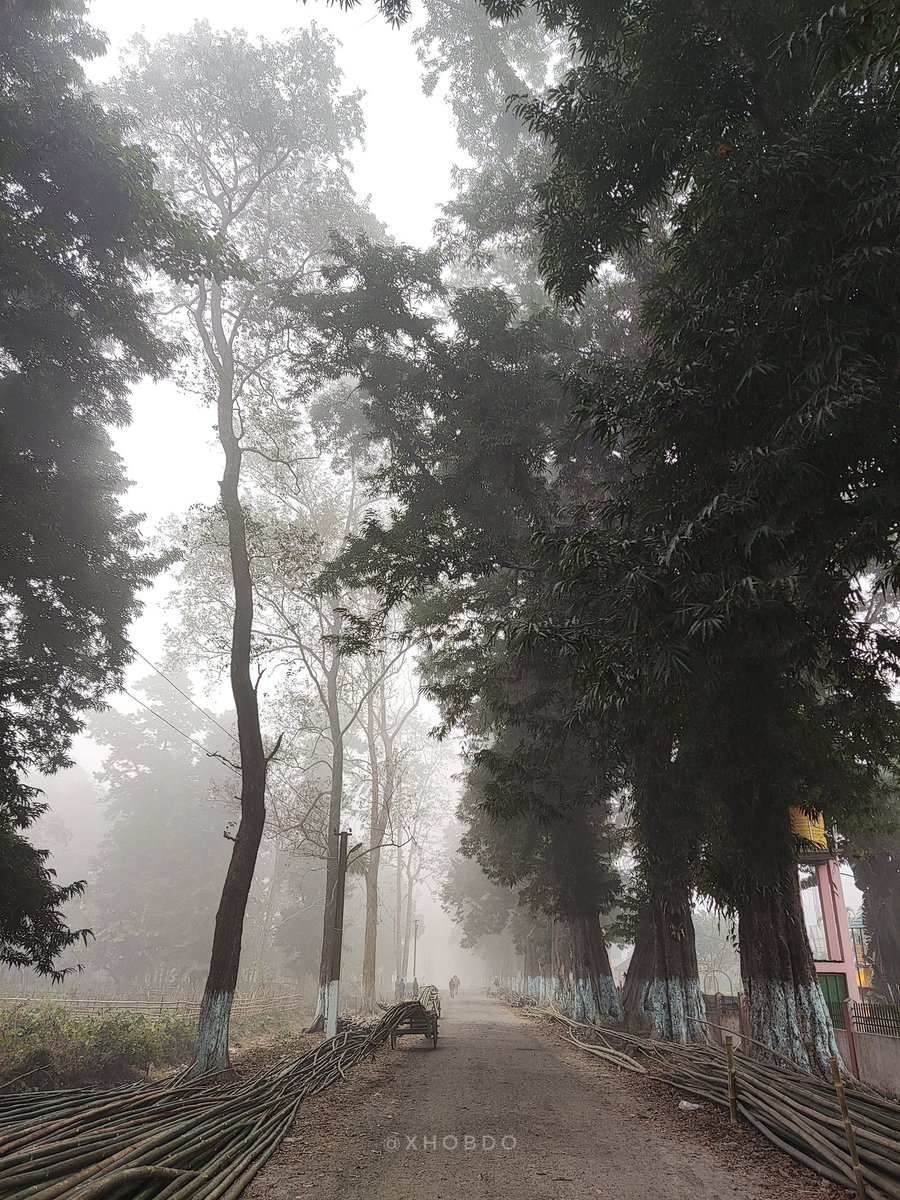 xhobdo's tweet image. Winter morning 
.
.
.
📍 Abhayapuri, Bongaigaon, Assam
#foggymorning #winter  #EverydayNEIndia #ShotOnMi #ShotOnXiaomi #xhobdo