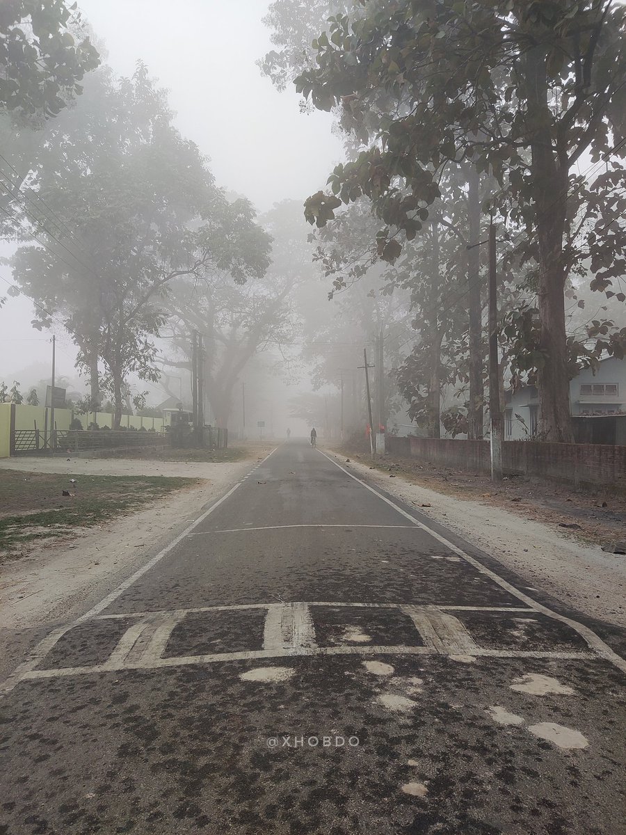 xhobdo's tweet image. Winter morning 
.
.
.
📍 Abhayapuri, Bongaigaon, Assam
#foggymorning #winter  #EverydayNEIndia #ShotOnMi #ShotOnXiaomi #xhobdo