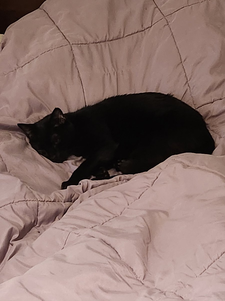 RealEdwilliams's tweet image. How I feel lately...  if I never have another surgery it will still be too soon