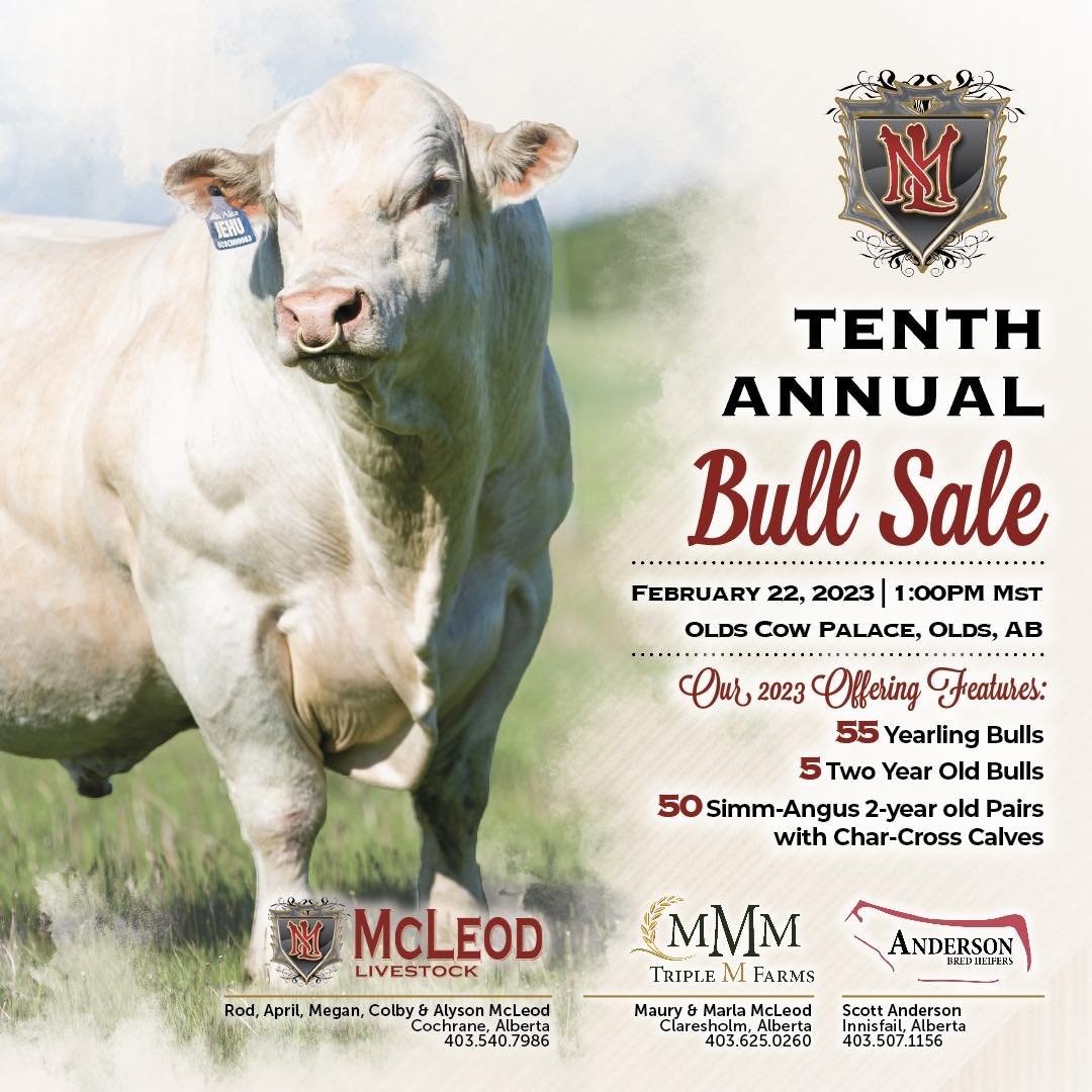 mcleodtrucking's tweet photo. It's that time of year again!!! The bulls are pictured and the catalog will be out next week. If you are not on our mailing list call me and I will get you a catalog.
You don't want to miss this sale.
PROFORMANCE>>POUNDS==PROFITS
#Charolais #beidentifiable https://t.co/ZcHCak9f16
