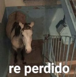 avatarpipi's tweet photo. sol en sagitario 
- tolerate it/taylor swift 
- viven en un cumpleaños mal 
- la cúspide de la comedia 🚬
- personas q normalmente nacen con suerte y sino ya les va a llegar tarde o temprano
- el amigo q está siempre para la joda te saca un vodka del culo aprox https://t.co/kx59VQbOVB