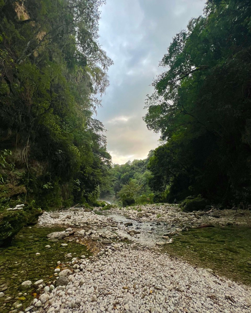 Shazaretdr's tweet photo. Voy a hacer un hilo de fotos que tome nada más por que me pareció bonito 🫶🏻 https://t.co/bASFoDEDfh