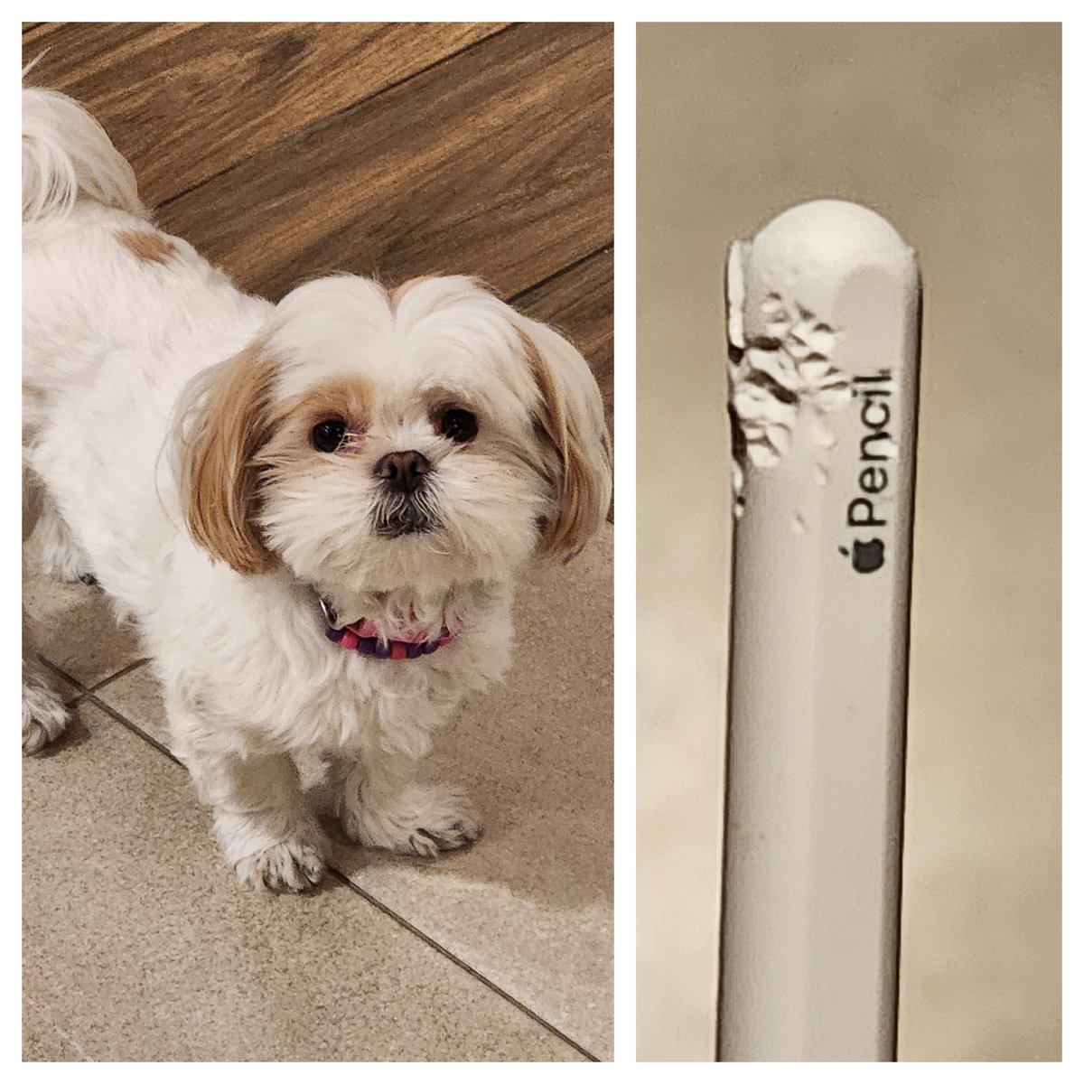 Enrique Culebro Karam tweet media