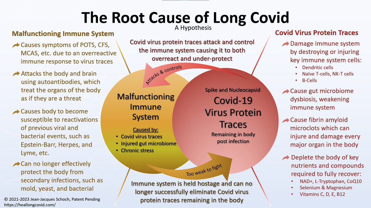 jjschoch's tweet photo. In this graphic I've boiled down what I believe is the root cause of #LongCovid, which is the dual problem of a malfunctioning immune system degraded by remaining virus protein traces (spike and nucleocapsid).

I was only able to fully recover once I totally addressed both issues https://t.co/CC05MYhZAB