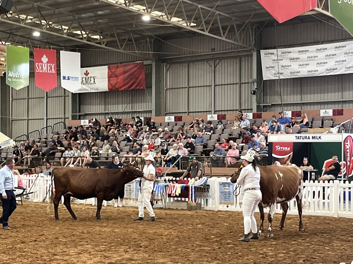 Stephen Sheridan tweet media