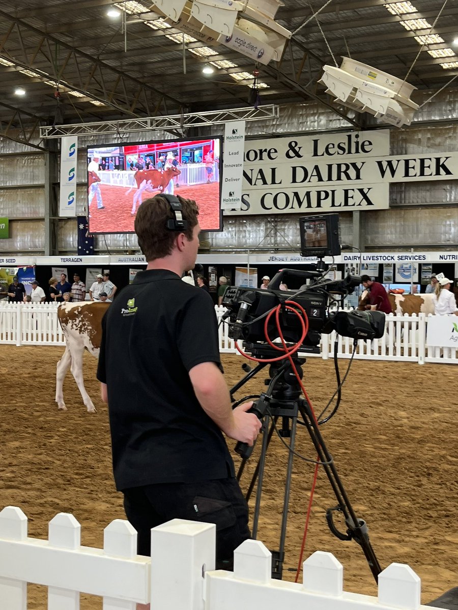 Stephen Sheridan tweet media