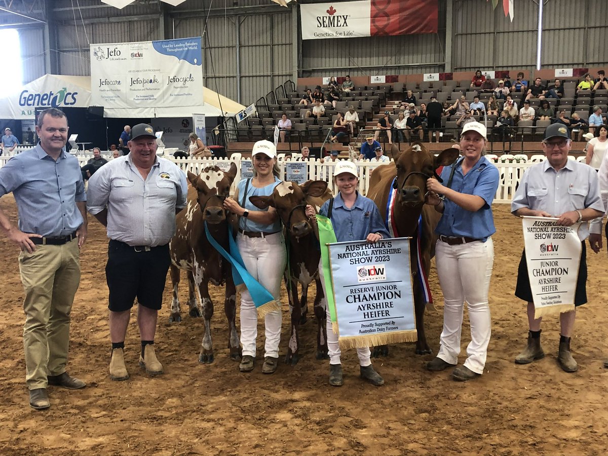 Stephen Sheridan tweet media