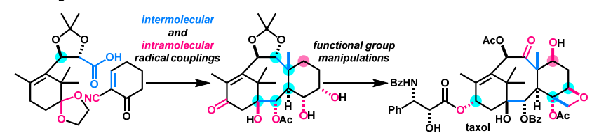 Total Synthesis tweet media