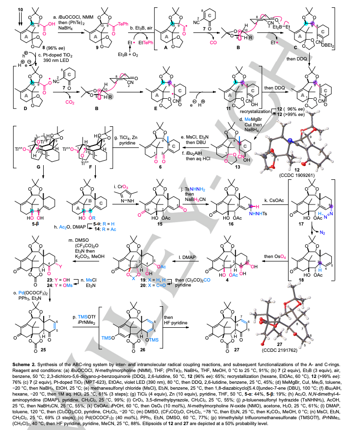 Total Synthesis tweet media