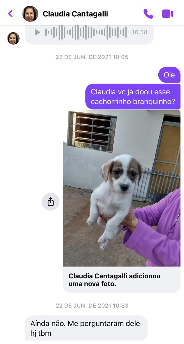 milto_on's tweet photo. primeira interação // hoje https://t.co/APtyNVn5ii