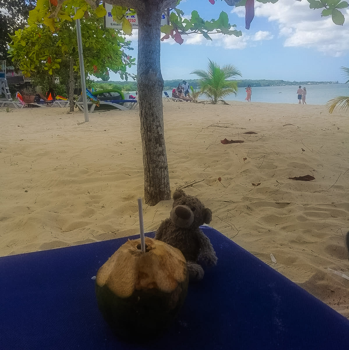 tukkerloo's tweet photo. We zijn al even terug van vakantie maar nu pas de foto's aan het kijken. Talloze plaatjes van de beer. En van de omgeving. En van de locals die we ontmoet hebben. 1 van mezelf. Van toen ik op de eerste ochtend de zonnebrand vergeten was. Toch maar de beer. #NieuweProfielfoto https://t.co/VTWErWaf3S