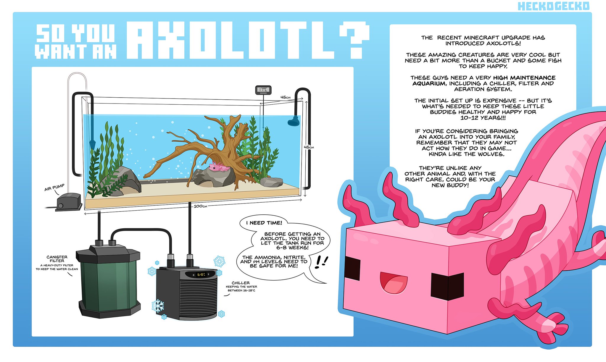 Hecko Gecko on Twitter " AXOLOTLS! As I'm sure many of you are aware