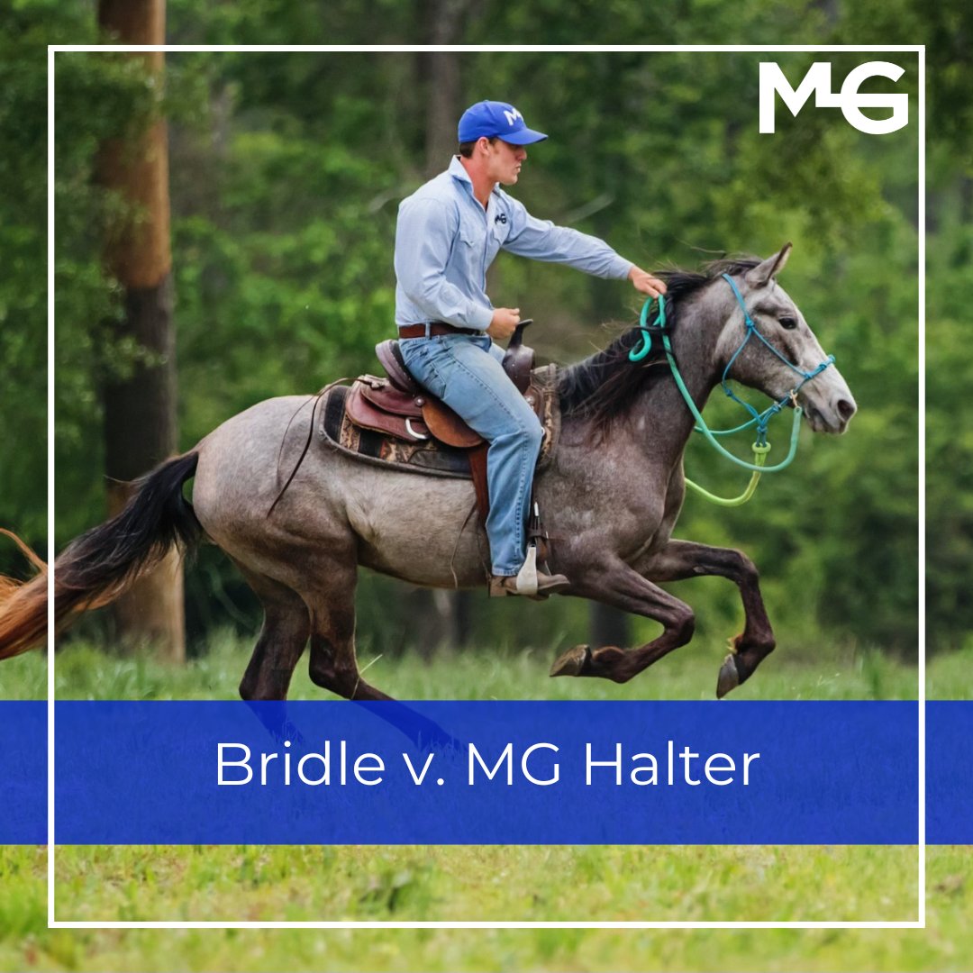 Which do you prefer? A bridle or our MG Halter? We’d love to hear some success stories!

#sucessstories #horsetraining #naturalhorsemanship #funwithhorses #halter #tack #magichalter #gasconhorsemanship