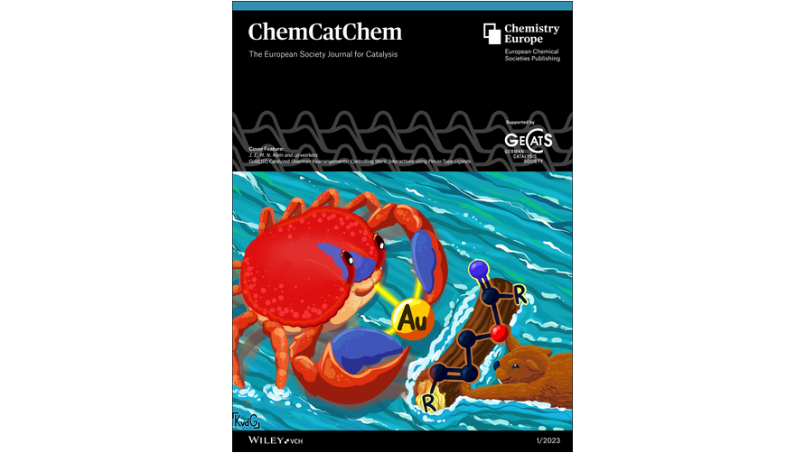 #CoverFeature Gold(III) Catalyzed Overman Rearrangements: Controlling Steric Interactions using Pincer-Type Ligands by Johannes E. M. N. Klein and co-workers (@lab_klein, @sileneengbers, @StratinghInst) onlinelibrary.wiley.com/doi/10.1002/cc…