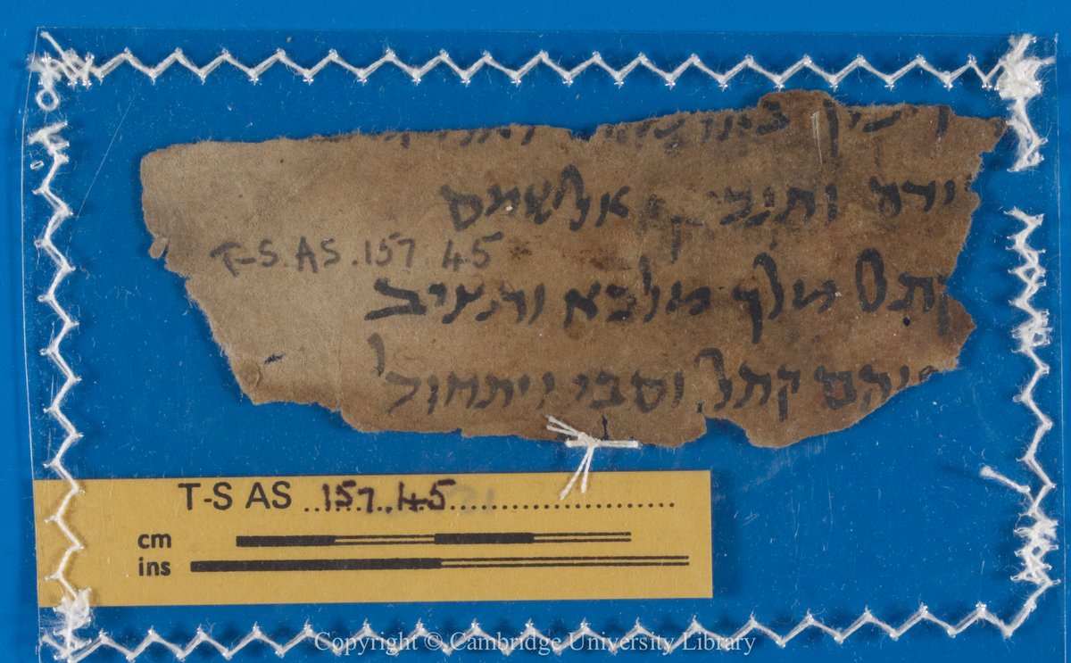 Paper fragment of either an apocalyptic or astrological prognostication, mentioning an eclipse of the sun and that a king will kill a king (date range, 6th-19thC; Judeo-Arabic; Hebrew); from the Cairo Genizah collection @CamDigLib cudl.lib.cam.ac.uk/view/MS-TS-AS-…