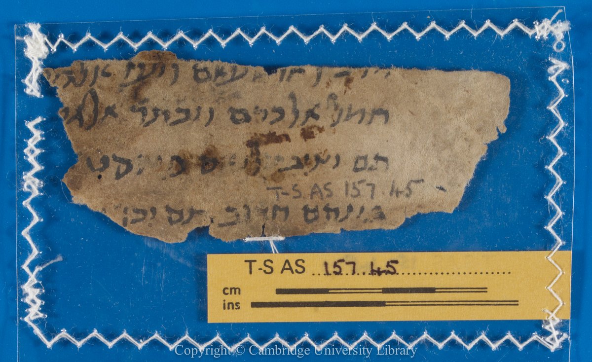 History of Astronomy tweet media