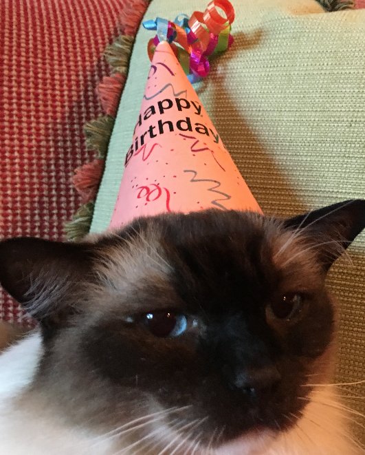 SK Emlux 🩷 tweet media