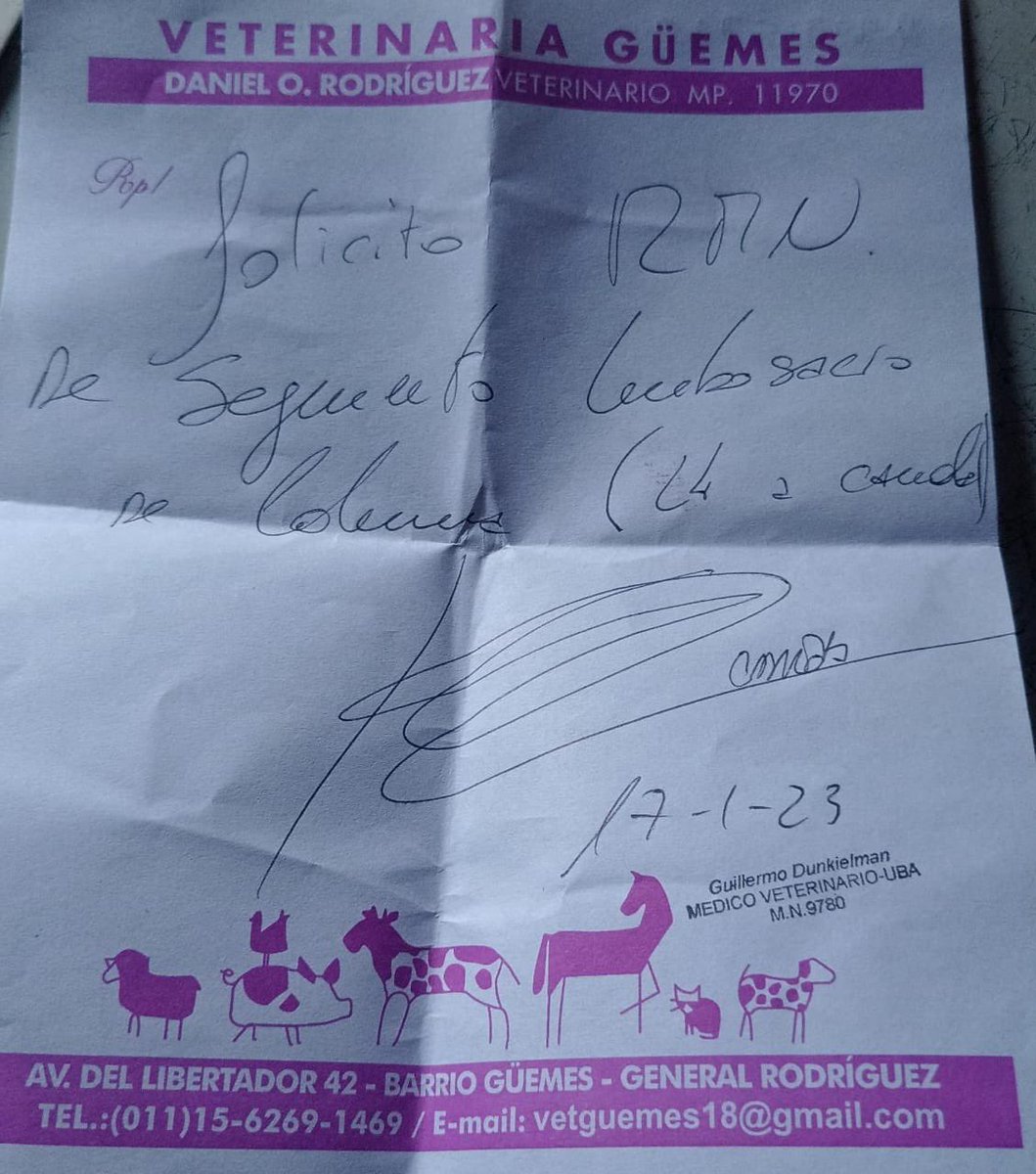 bxrbi_c's tweet photo. Hola!! Les presento a William🐶, un bebé de 5 añitos que necesita que le demos una pata para poder costear operación de tumores, una resonancia y el aceite para aguantar el dolor.

Una ayuda o un RT ayudan muchísimo! 🤍

Alias: OPERACIONWILLIAM
Cuenta a nombre de Nahuel Palacios. https://t.co/jOoZ0PGrbP