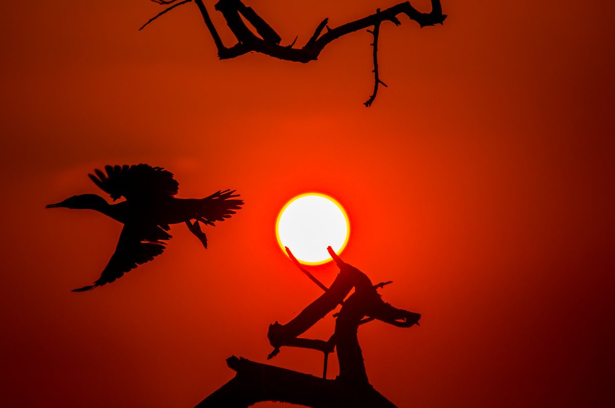 LightRaysPhoto1's tweet photo. For #wednsedaywisdom
 "Again n again i'm telling Nature is not ur weekend destination to spent ur shitty days, u have to dive into in order to get peace."- Pavan Prasad
😍😜
#IndiAves 
#ThePhotoHour 
@ThePhotoHour
@ErikSolheim
@KatanaHugo
@ParveenKaswan
@IndiAves
@KarnatakaWorld https://t.co/AFn76QMo07