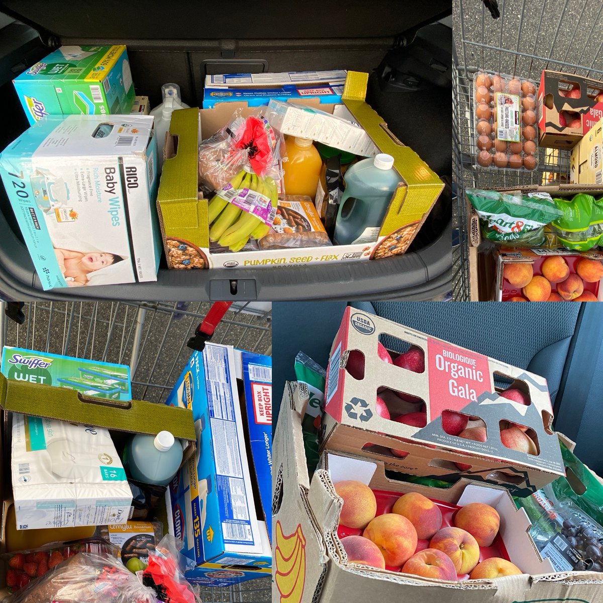 Do you live in Issaquah? Would you like to help form a mutual aid pod? Would you like to help deliver groceries to families in Issaquah? Join us to help form a mutual aid pod in Issaquah! 
Email: covid19MutualAidEastside@gmail.com