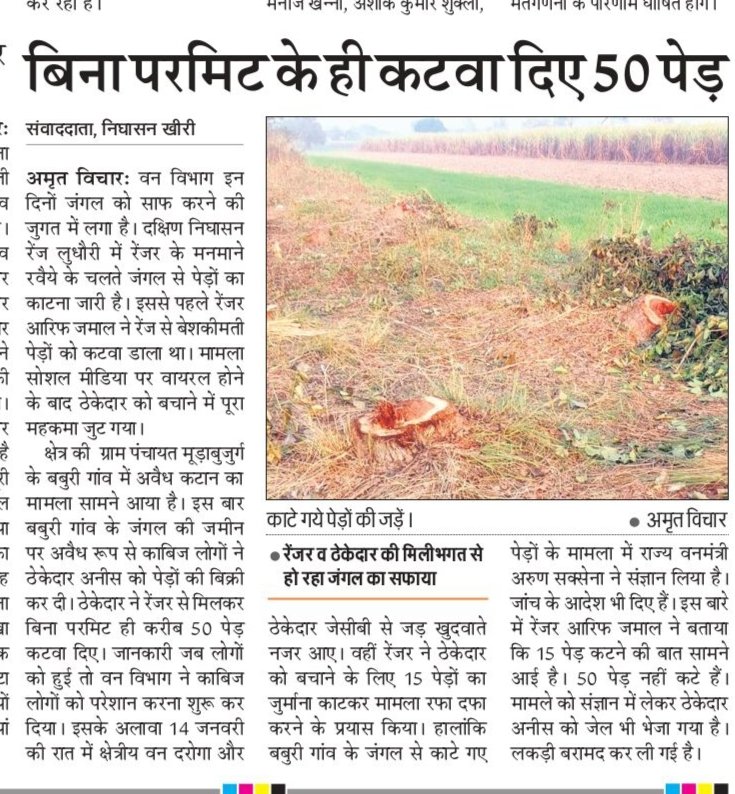 atal1_dixit's tweet photo. #Kheri बीजेपी सरकार में भी बिरादरीवाद को बढ़ावा दे रहे रेंजर,रेंजर आरिफ जमाल स्थानीय ठेकेदारों की मिलीभगत जोरों से किया जा रहा अवैध कटान,रेंज के भीतर भी कटवा चुके है बेशकीमती पेड़,अब बगैर परमिट कटवाए हरे भरे 50 पेड़।दक्षिण निघासन रेंज के मामला।
@UpforestUp @myogioffice @DmKheri https://t.co/Lx2Nb03JNp