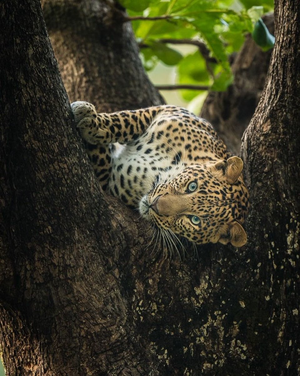 MPTourism tweet picture