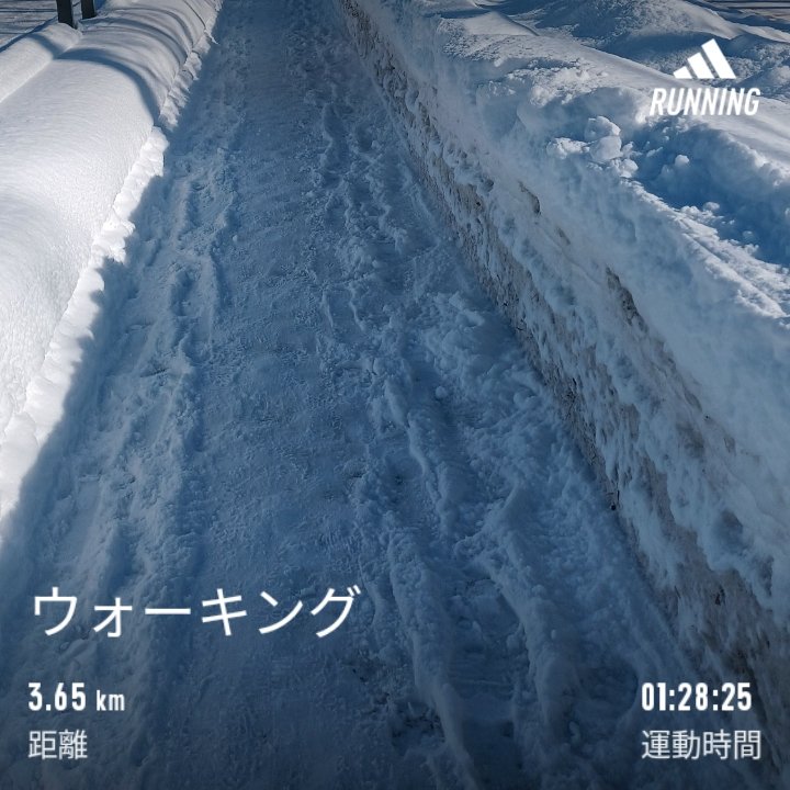 kyohousacchann's tweet photo. 今日の気温　-4℃🥶
#朝活
#ウォーキング 5キロ🚶‍♀️🏃‍♀️🚶‍♀️🏃‍♀️
ひっさびさのウォーキング。
雪かきしてもしても…終わらないね。

#shokz
#openrun
#アディダス
#KEEN
#トレッキングシューズ
#huawei
#WatchFitNew
#adidasRunning https://t.co/MzROg0RAPd
