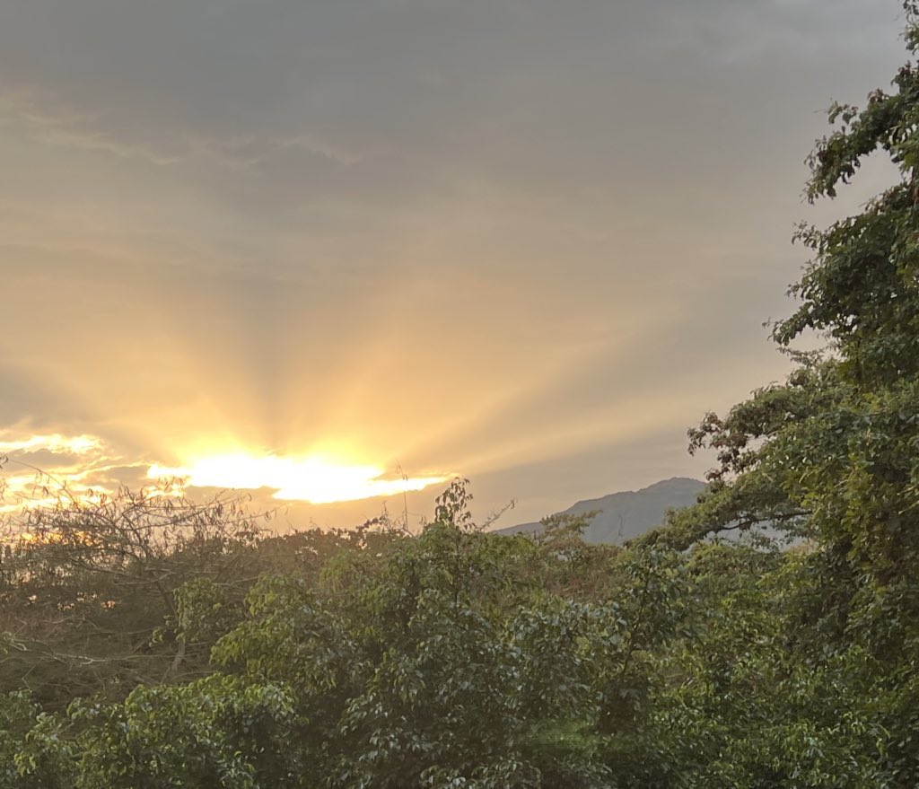 Bezyee's tweet photo. My family & I did something extraordinary these past 4 weeks. We saw the beauty & wonder of #Ethiopia from a perspective none of us expected. #VisitEthiopia
We drove out of Addis to #Langano, Abiatta & Shala. Over to Shashemene & Wendo Genet, Wollaita and #Arbaminch. https://t.co/yiJUN9bV8Q