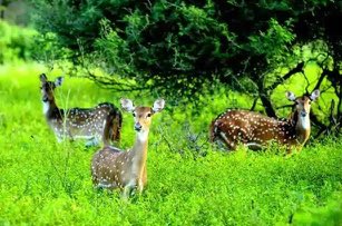 Jayanth Shantharam K (@jaymaxfac) on Twitter photo #SaveSoil
Soil is a complex symbiotic system of living organisms, minerals, liquids, organic matter and gases that support all life on this planet. Without organic content, it is getting reduced to sand. Let's save our soil. #SaveSoil #SaveSoil
Soil is a complex symbiotic system of living organisms, minerals, liquids, organic matter and gases that support all life on this planet. Without organic content, it is getting reduced to sand. Let's save our soil. #SaveSoil