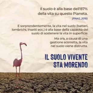 Jayanth Shantharam K (@jaymaxfac) on Twitter photo #SaveSoil
Soil is a complex symbiotic system of living organisms, minerals, liquids, organic matter and gases that support all life on this planet. Without organic content, it is getting reduced to sand. Let's save our soil. #SaveSoil #SaveSoil
Soil is a complex symbiotic system of living organisms, minerals, liquids, organic matter and gases that support all life on this planet. Without organic content, it is getting reduced to sand. Let's save our soil. #SaveSoil