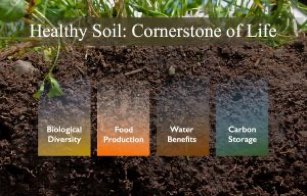 Jayanth Shantharam K (@jaymaxfac) on Twitter photo #SaveSoil
Soil is a complex symbiotic system of living organisms, minerals, liquids, organic matter and gases that support all life on this planet. Without organic content, it is getting reduced to sand. Let's save our soil. #SaveSoil #SaveSoil
Soil is a complex symbiotic system of living organisms, minerals, liquids, organic matter and gases that support all life on this planet. Without organic content, it is getting reduced to sand. Let's save our soil. #SaveSoil