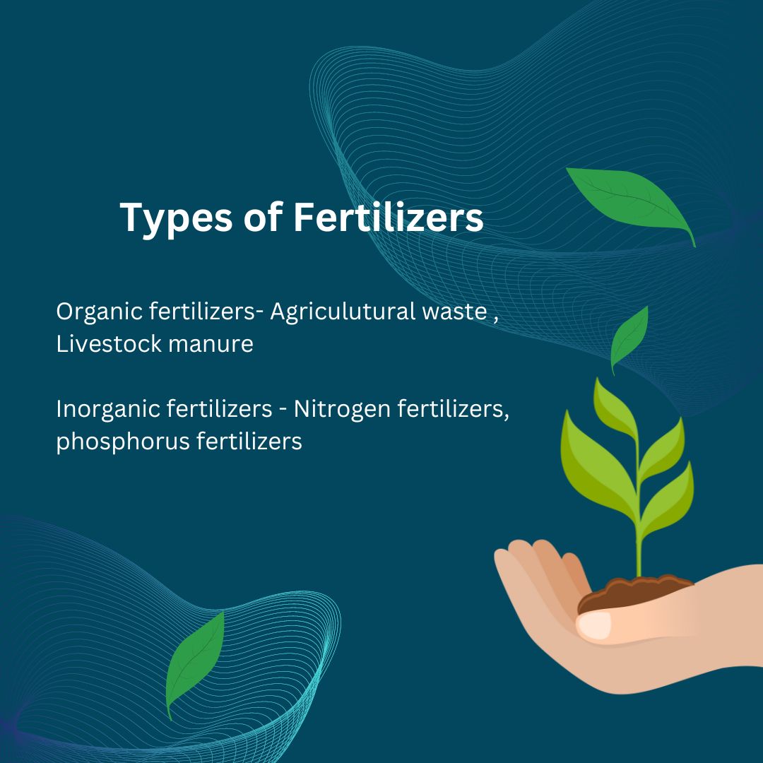 Types of fertilizers
.
.
.
#vashuramsinghanicase #vashuramsinghani #fertilizers #organicfertilizers #inorganicfertilizers #typesoffertilizers