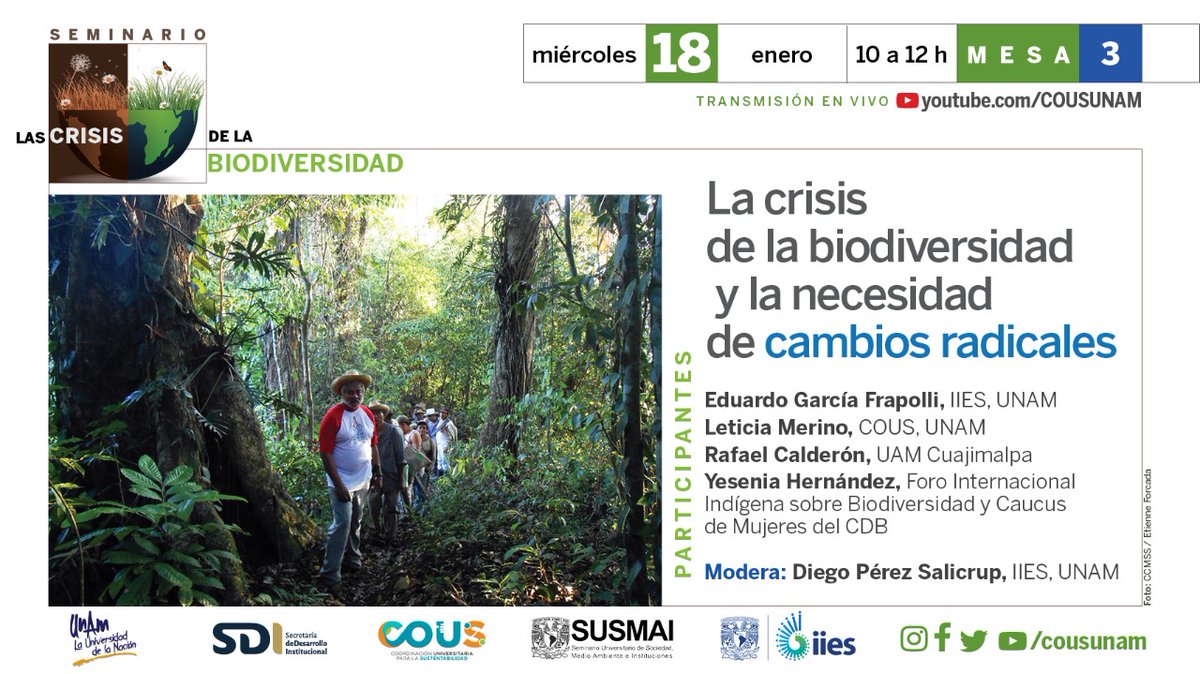 Primer Movimiento tweet media