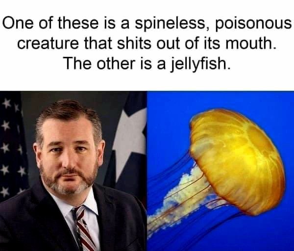 twitchtail's tweet photo. @tedcruz If it wasn't for lying, Republicans would have nothing to say, #FlyinTed. 
#RepublicansLieAboutEverything 
#RepublicansAreTheProblem https://t.co/pjhG6TEeMI