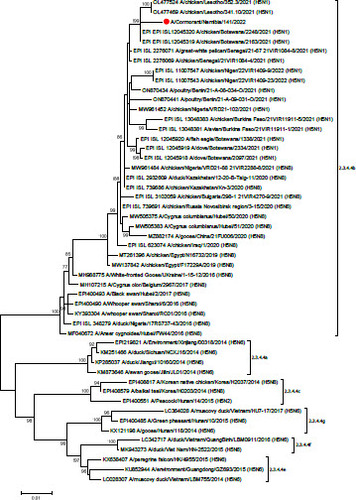 DuckSwabber's tweet photo. In January 2022, more than 6500 Cape cormorants died due to HPAI on Bird Island, Walvis Bay. Phylogenetics indicate clade 2.3.4.4b, and highly similar to H5N1 in chickens in Lesotho in May 2021 and poultry and wild birds in Botswana in June 2021
👉 https://t.co/N5zW6Wj9VM https://t.co/HFODtthq6Q