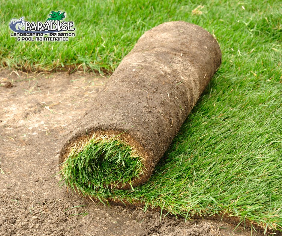 ParadiseLOTO's tweet photo. 𝐋𝐨𝐨𝐤𝐢𝐧𝐠 𝐟𝐨𝐫 𝐚 𝐟𝐫𝐞𝐬𝐡 𝐬𝐭𝐚𝐫𝐭? Now is the perfect time to get your yard in shape for the summer. Paradise Landscaping can help you transform your outdoor space with our 𝐬𝐨𝐝 𝐢𝐧𝐬𝐭𝐚𝐥𝐥𝐚𝐭𝐢𝐨𝐧 𝐬𝐞𝐫𝐯𝐢𝐜𝐞𝐬.🪴🪴🪴
https://t.co/IUWDyVvxZu https://t.co/Sxl3pa1hlF