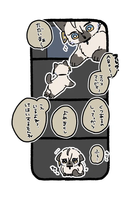 なんか ちま!もふ4👻 https://t.co/C8vptWF0Eq 