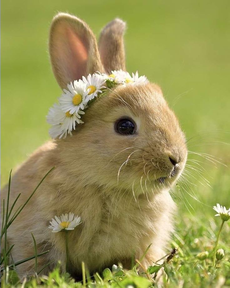 ***
Sabahınız Hayırlı
Umudunuz Daim Olsun...

Günaydın ツ Güzel İnsanlar 🤗☕🍫

#18Ocak #Çarşamba #Hayırlı_Sabahlar