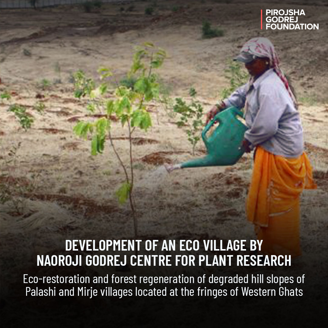 PirojshaGodrejF's tweet photo. From limiting #climatechange to improving human health, trees benefit people & our planet.🌍
#PGF beneficiary, #NGCPR has collaborated with @MahaForest to afforest & eco-restore degraded forest lands by documenting #biodiversity & identifying wildlife habitats for conservation. https://t.co/FA28yHcXoj