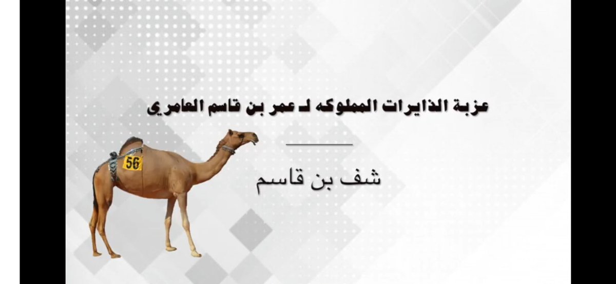 mohamedHAlameri's tweet image. 