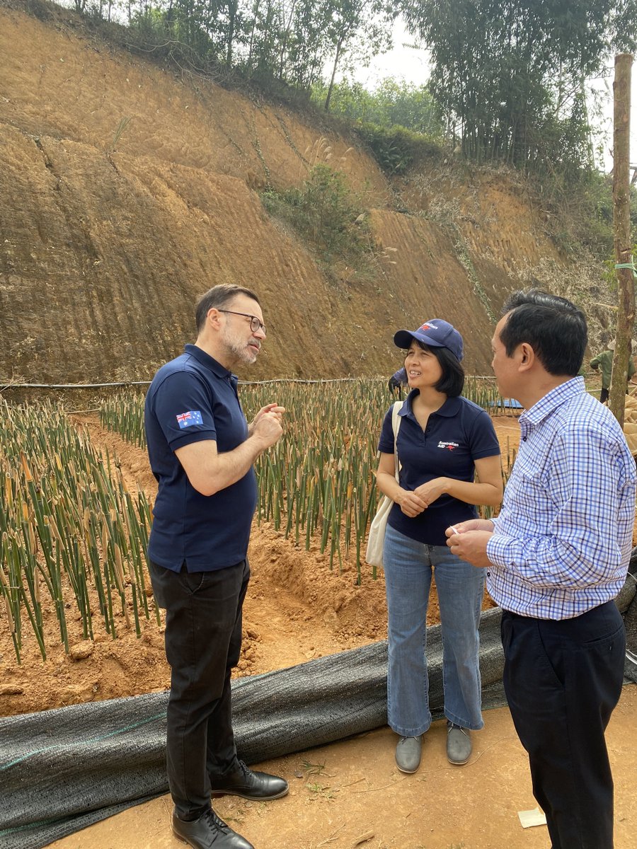 Aus4Equality GREAT tweet media