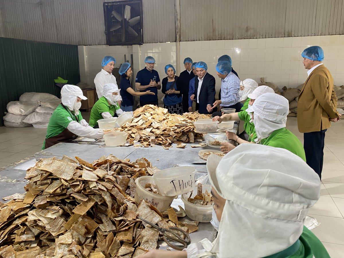 Aus4Equality GREAT tweet media