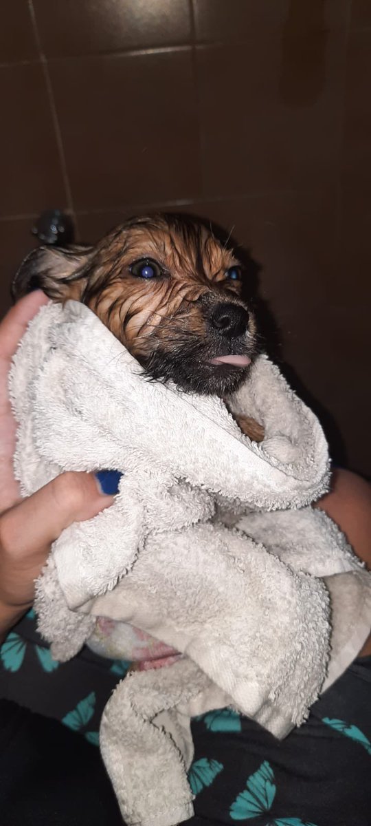 KukeBrrt's tweet photo. Cómo empezó | Cómo va ♥️ https://t.co/Bri2jpHS08