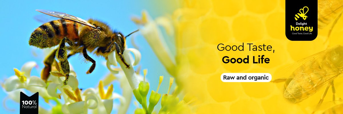 DelightHoneyUG's tweet photo. Get the natural sweetness you crave without the guilt. Try our raw and organic honey today.
#rawhoney, #healthylifestyle, #naturalsweetener, #wellness, #beauty, #skincare, #cooking, #sugarfree, #goodbyesugar, #antioxidants, #antibacterial, #tasteofnature, #naturalremedies https://t.co/3vox7orHqW