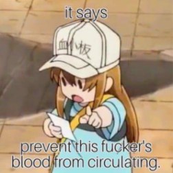 Putheraz's tweet photo. @isusemasaviral Dumb*ss 🤣 https://t.co/C0vWDmlyKV