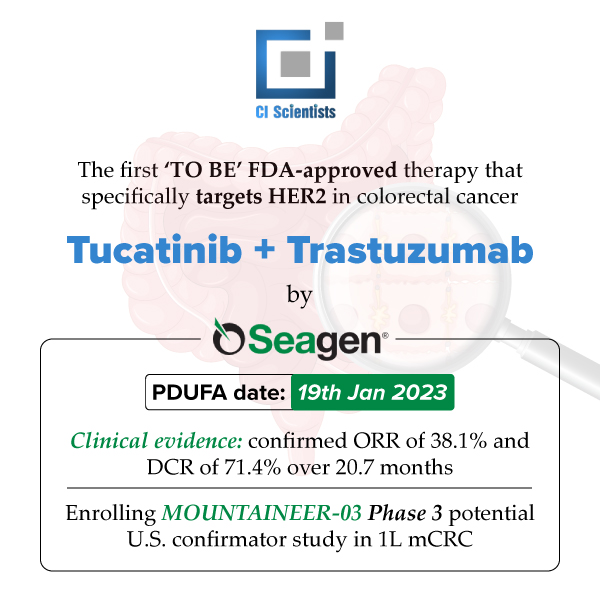 CiScientists's tweet photo. Could this combination be the SoC in HER2+ mCRC

#cancer  #competitiveintelligence #ciscientists https://t.co/ZlQilfwHqY
