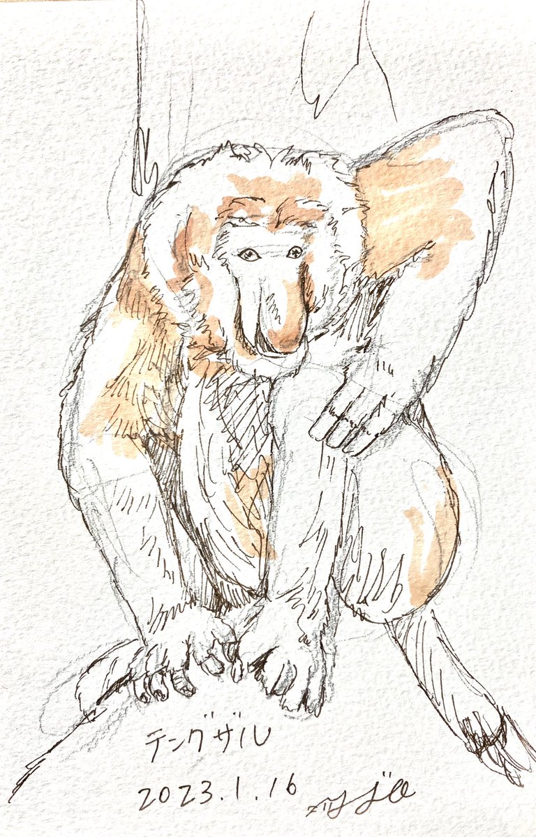 dated no humans traditional media monkey solo holding animal  illustration images
